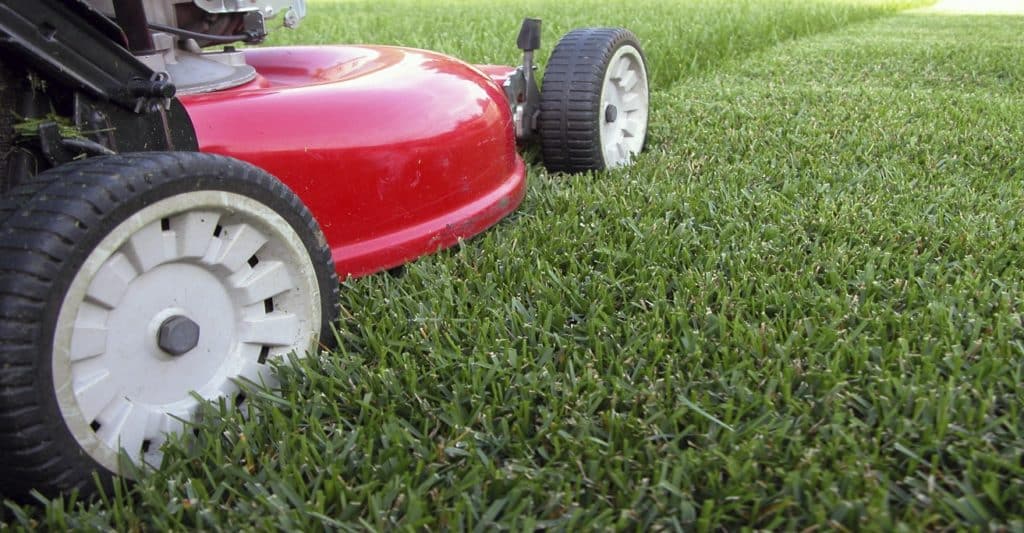 Lawn mowing in warner robins