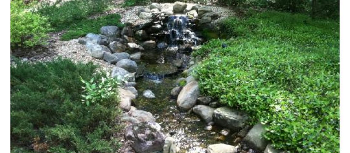 Macon Landscaping Blog