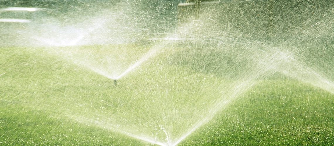 Sprinkler Photo